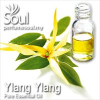 依兰精油 - 10毫升 Ylang Ylang Essential Oil 依兰精油 - 10毫升 Ylang Ylang Essential Oil